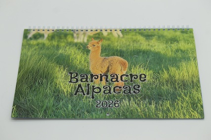 Barnacre Alpaca 2026 Calendar