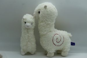 Cuddly Alpaca